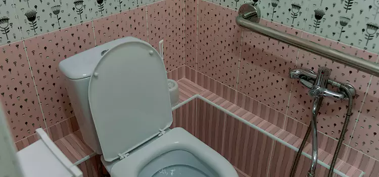 Meeting Diverse Needs With Accessible Restroom Solutions in Lancaster, OH